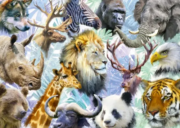 Têtes d'Animaux