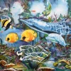 Underwater World