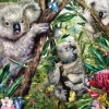Une Adorable Famille de Koalas