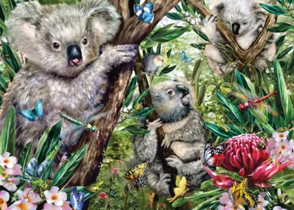Une Adorable Famille de Koalas