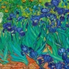 Van Gogh Vincent - Vincent Van Gogh - Irises, 1889