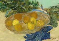 Van Gogh Vincent - Vincent Van Gogh - Still Life of Oranges and Lemons with Blue Gloves, 1889