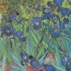 Van Gogh Vincent - Vincent Van Gogh - Saint-Remy - Les Iris, 1889