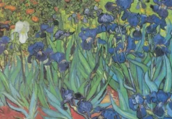 Van Gogh Vincent - Vincent Van Gogh - Saint-Remy - Les Iris, 1889