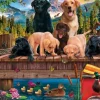 Villégiature Canine