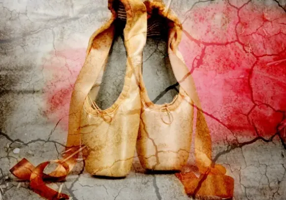 Vintage Ballet Shoes