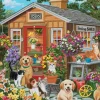 Visiting the Potting Shed