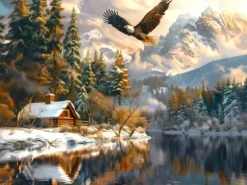 Vol de l'Aigle d'Hiver