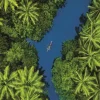 Vue Aérienne Tropicale
