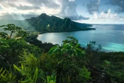 Vue sur Hawaï