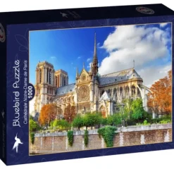 Vue sur la Cathédrale Notre-Dame de Paris