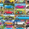VW Beetle - Gone Places