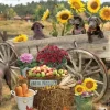 Wagon de Choc
