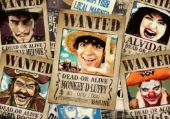 Wanted ! - One Piece