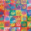 Weed Wonderland