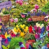 Welcome to Our Garden