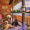 Welcome to the Lake House