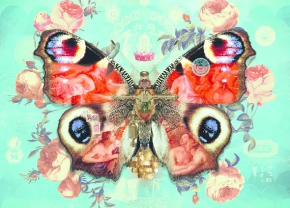 Wings No. 3
