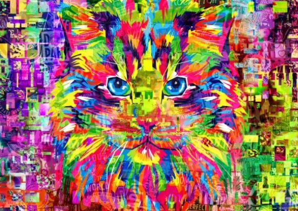 Wonderful Cat