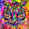 Wonderful Tiger