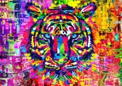 Wonderful Tiger
